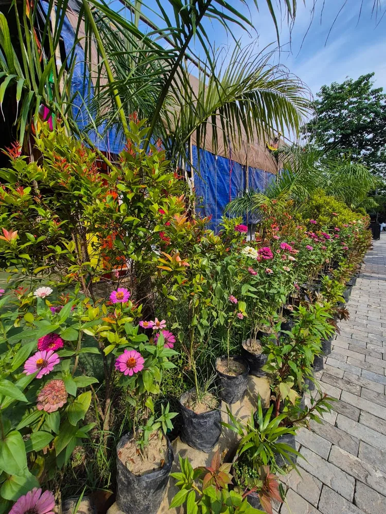 HM Resort